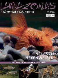 Ausgabe 4-2024